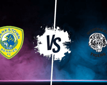 Pronostic Bankstown Berries vs Northern Tigers