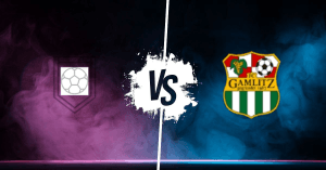 Pronostic FC Wm-Estriche Schladming vs Union RB Weinland Gamlitz